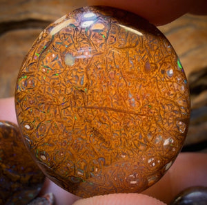 157.1cts - 5x Australian Tribal Boulder Opal’s. Wholesale Dealers Parcel