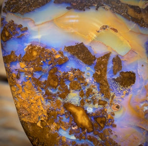 52.8cts - Queensland Boulder Opal from Yowah