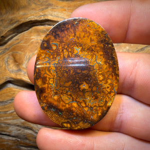 113.4cts - 50% Off Yowah Nut Opal. Australian Opal