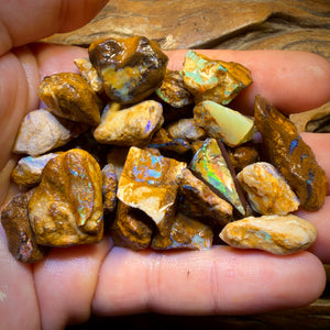 🔒451.1cts - 35x Opalised Wood/Vegetation Fossil Rough Parcel from Yowah