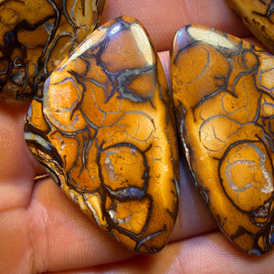 Get TWO FREE Card!113.6cts - Yowah Nut Tribal Family Parcel. Australian Opal