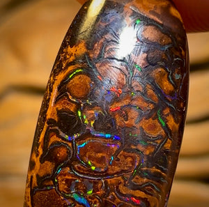 13.6cts - Tribal Queensland Boulder Opal from Yowah. Multicolours!