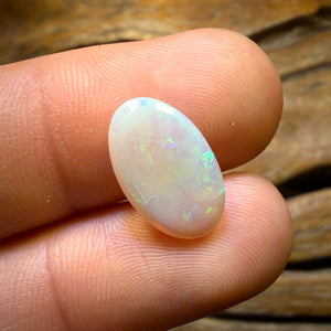 🔨 AUCTION 🔨 No Reserve 3.5cts - South Australian White Opal from Andamooka