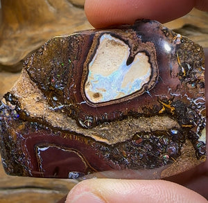 248cts - Australian Yowah Boulder Opal Kernel Specimen with Tribal - Opal Whisperers