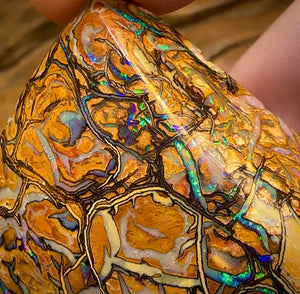 258.9cts - Large Top Tribal Queensland Boulder Art of Opal Style Polished Specimen