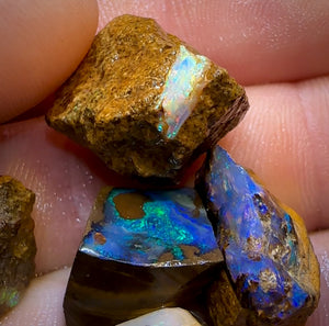 122.5cts - 10x Mixed Queensland Boulder Opal Rough Parcel