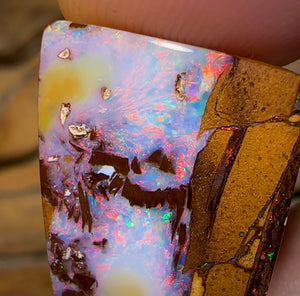 15.4cts - Australian Boulder Wood Fossil Replacement Opal - Opal Whisperers