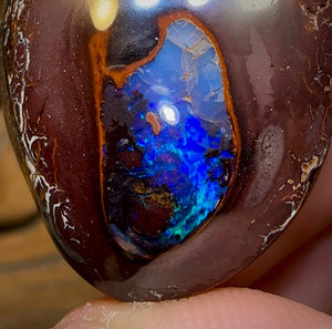 67.5cts - Yowah Nut Kernel Opal. Australian Opal - Opal Whisperers
