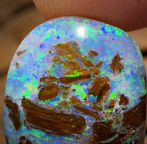14.8cts - GEM Australian Boulder Wood Fossil Opal
