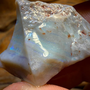 54.4cts - Lightning Ridge Dark Opal Rough Piece