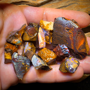 302.1cts - 13x Yowah Nut Rough Opal Parcel. Australian Boulder Opal