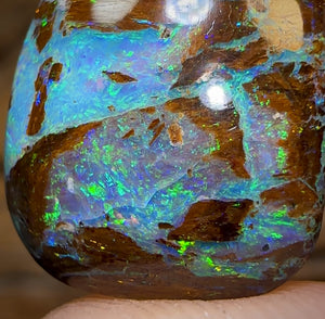 14.8cts - GEM Australian Boulder Wood Fossil Opal