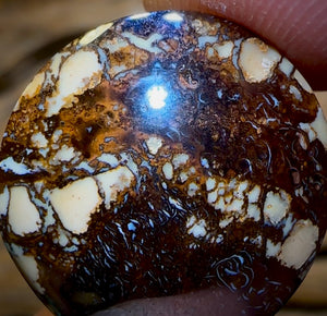 31.5cts - Love It Tribal Pattern Queensland Boulder Opal from Koroit