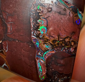 31cts - Queensland Boulder Opal - Opal Whisperers