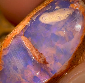 Bargain Card! 30.5cts - Boulder Pipe Opal Rough Piece. Australian Opal