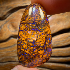 31.8cts - Tribal Queensland Boulder Opal from Yowah