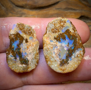 31.5cts - Yowah Fossil Opal Rough Pair. Australian Opal