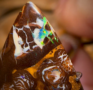 14.5cts - Yowah Nut Opal