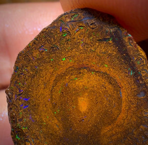 TGIF 32cts - Tribal Yowah Nut Opal Rough Pair. Australian Opal