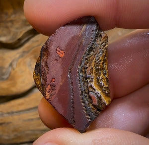 76.5cts - Yowah Nut Rub Piece. Australian Opal - Opal Whisperers