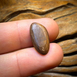 5.4cts - Galaxy’s Fire Australian Boulder Opal Doublet. Old School irreplaceable