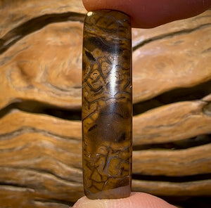 Auction Fall-Through = Your Gain! 🔥 Now More Than 50% Off RRP 🚨 18.1cts - Yowah Nut Tribal Opal