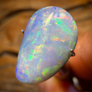 7.5cts - Rare Fossil Shell Australian Opal Doublet