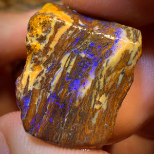 🔨 AUCTION 🔨 154.7cts - 3x Yowah Nut Rough Opal Parcel. Fossil and Kernel!