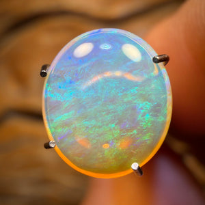 1.6cts - Queensland Boulder Crystal Opal