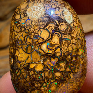 31.7cts - Tan Tribal Queensland Boulder Opal from Yowah