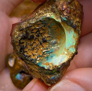 436.8cts - 12x Yowah Opal Rough Pieces. Australian Boulder Opal - Opal Whisperers