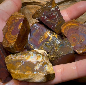 (Template) 233.8g- 7x Large Queensland Boulder Opal Rough Pieces - Opal Whisperers