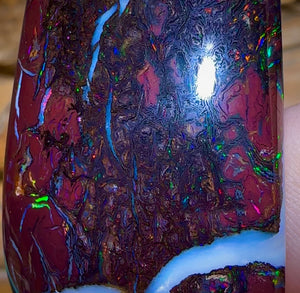 96.4cts - Tribal Koroit Nut Opal. Australian Opal - Opal Whisperers