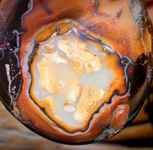 38 x 27mm - Drilled Queensland Boulder Opal Necklace