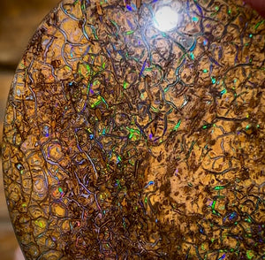 145.5cts - Large Queensland Boulder Opal. Yowah Tribal - Opal Whisperers