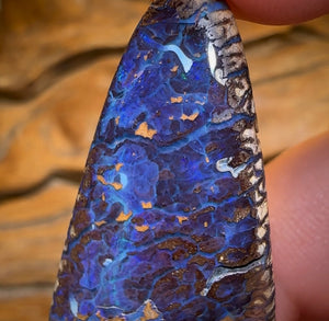 41.1cts - Koroit Nut Opal. Australian Opal - Opal Whisperers