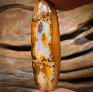 22.1cts - Yowah Nut Opal. Australian Opal