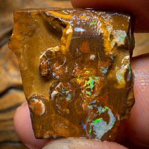 34.4cts - Yowah Nut Opal Rough Preform