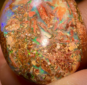 34.9cts - 3x Finished Queensland Boulder Pipe Opals. Wholesale Dealers Parcel