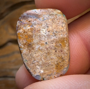 14.8cts - GEM Australian Boulder Wood Fossil Opal