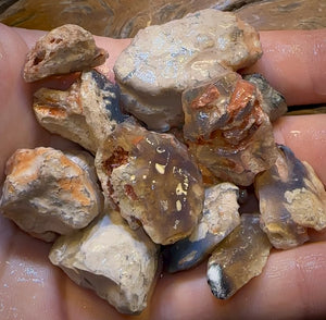 300.5cts - 13x Lightning Ridge Fossil Replacement Opal Rough Parcel Under $2/Ct - Opal Whisperers