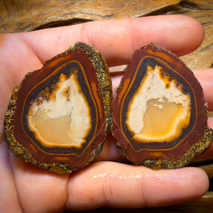 353.5cts - RARE Yowah Nut Partial Crystal Centre Rough Specimen Pair