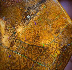 235cts - Tan Tribal Queensland Boulder Opal. Polished Specimen