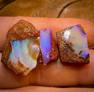 33.7cts - 3x Queensland Boulder Pipe Opal Rough Pieces