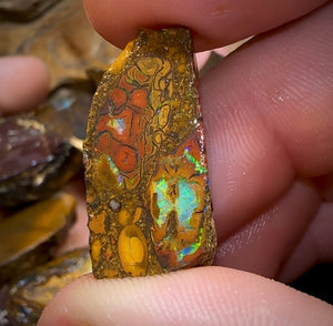 317.9g - 15x Yowah Nut Rough Pieces. Tribal and Crystal Centres Australian Opal - Opal Whisperers