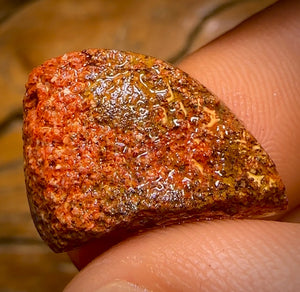 11.3cts - Boulder Pipe Opal Rub. Australian Opal
