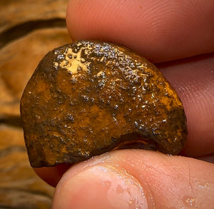 32.9cts - Wow! Yowah Nut Crystal Centre Rough Specimen