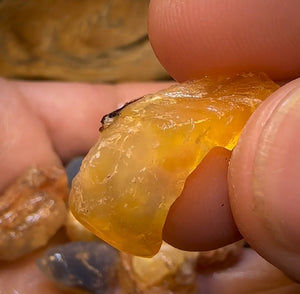 123cts - 9x Opalised Shell Geological Specimens from Lightning Ridge