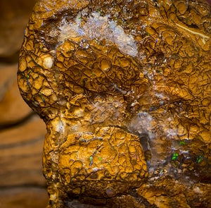 151.8cts - Unopened Yowah Nut Opal Rough Piece. Gamble Nut Showing Colour! - Opal Whisperers