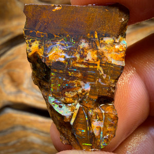 37.2cts - Vegetation Fossil Replacement Boulder Opal Rough Piece